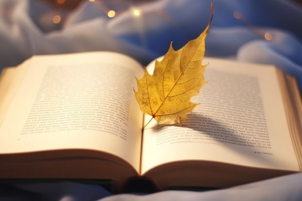 北京师范大学和南昌应用技术师范学院相比哪个好 录取分数线对比