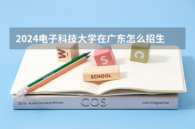 2024电子科技大学在广东怎么招生的