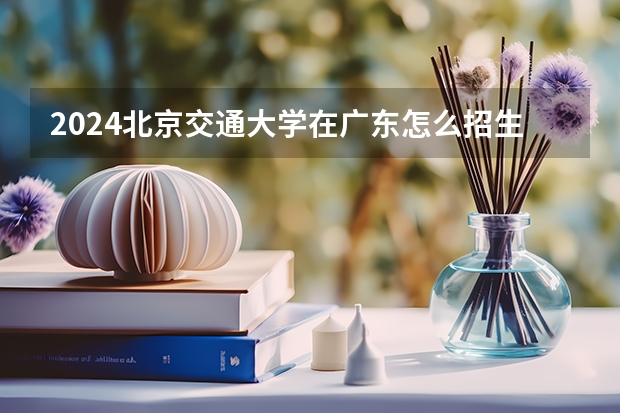 2024北京交通大学在广东怎么招生的