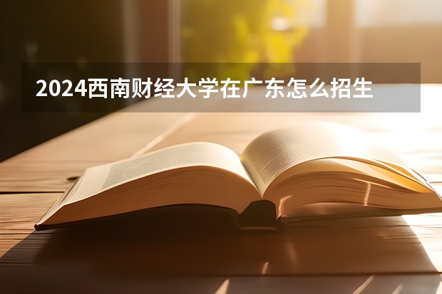 2024西南财经大学在广东怎么招生的