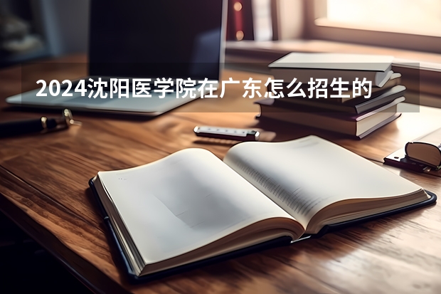 2024沈阳医学院在广东怎么招生的