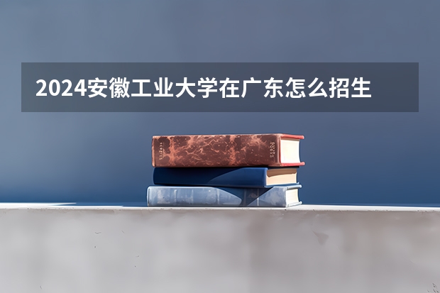 2024安徽工业大学在广东怎么招生的