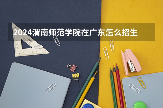 2024渭南师范学院在广东怎么招生的