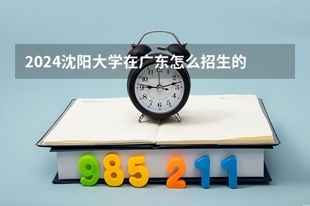 2024沈阳大学在广东怎么招生的