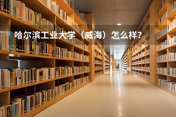 哈尔滨工业大学(威海)怎么样?