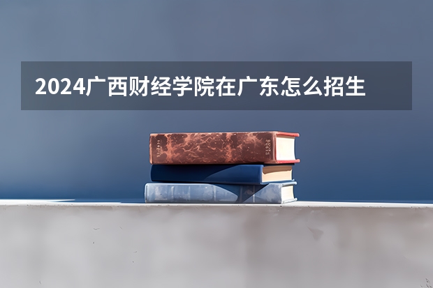 2024广西财经学院在广东怎么招生的