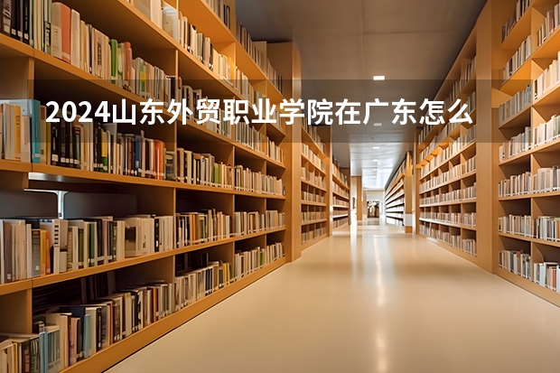 2024山东外贸职业学院在广东怎么招生的