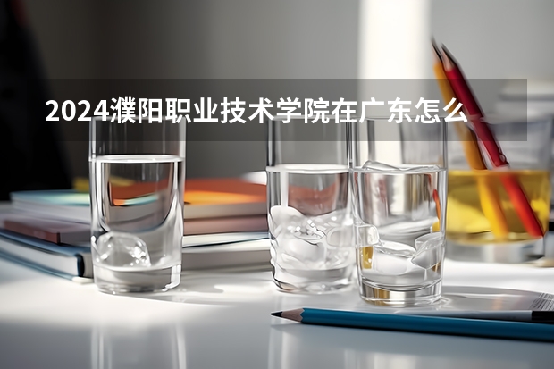 2024濮阳职业技术学院在广东怎么招生的