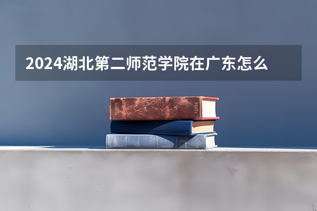 2024湖北第二师范学院在广东怎么招生的