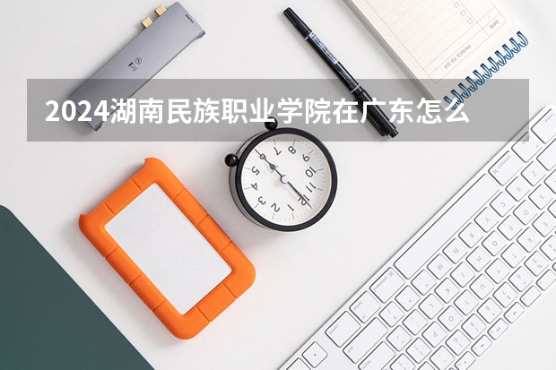 2024湖南民族职业学院在广东怎么招生的