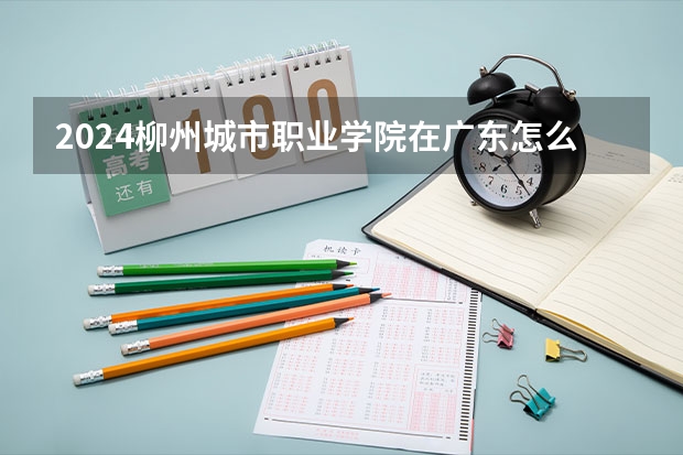 2024柳州城市职业学院在广东怎么招生的