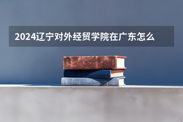 2024辽宁对外经贸学院在广东怎么招生的