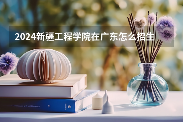 2024新疆工程学院在广东怎么招生的