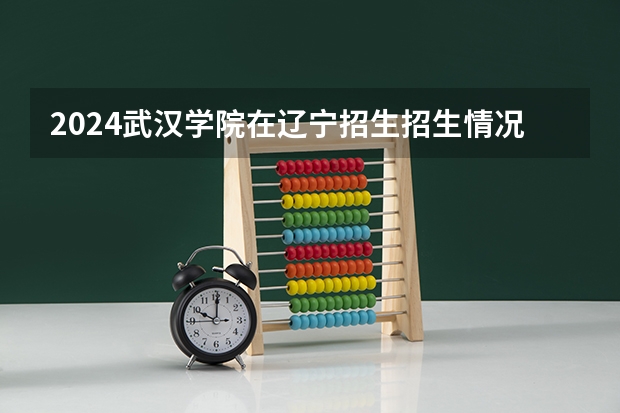 2024武汉学院在辽宁招生招生情况怎么样