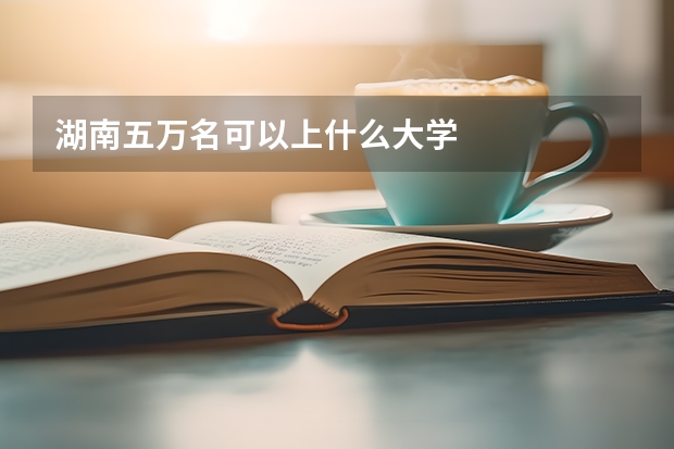 湖南五万名可以上什么大学