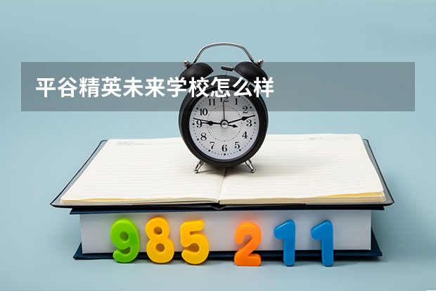 平谷精英未来学校怎么样