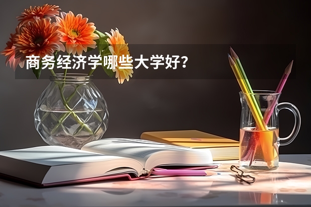 商务经济学哪些大学好？