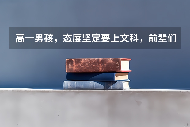 高一男孩，态度坚定要上文科，前辈们给点建议和专业方向怎么样？