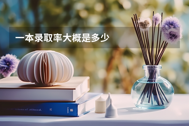 一本录取率大概是多少