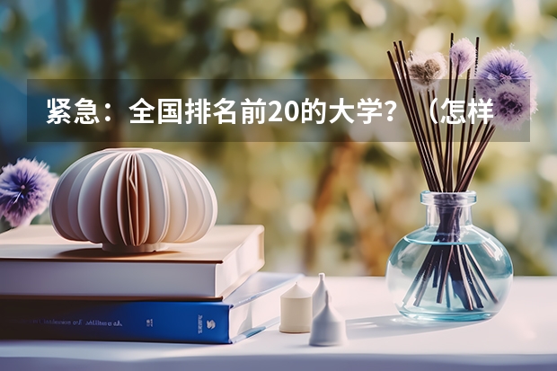 紧急:全国排名前20的大学?(怎样寻找和访问国外知名网站!)