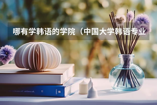 哪有学韩语的学院(中国大学韩语专业的排名)
