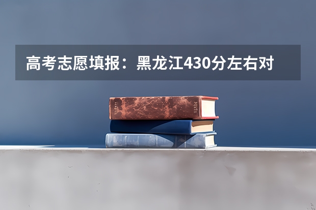 高考志愿填报:黑龙江430分左右对应位次大学名单(高考志愿填报:黑龙江430分左右对应位次大学名单)