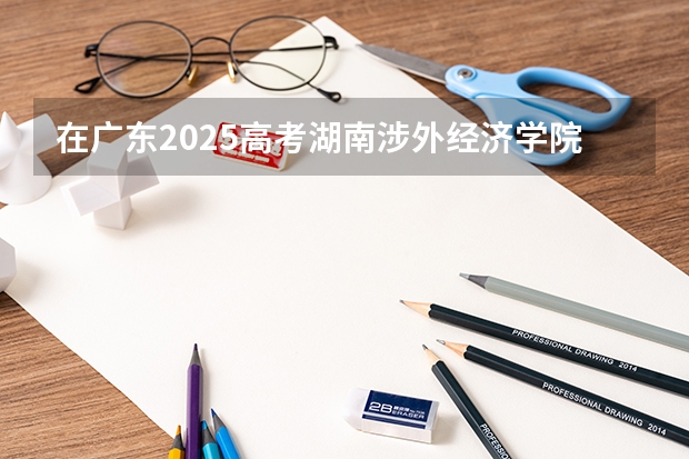 在广东2025高考湖南涉外经济学院招生计划如何