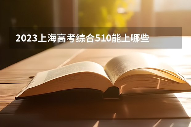 2023上海高考综合510能上哪些大学