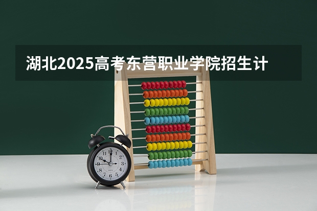 湖北2025高考东营职业学院招生计划如何