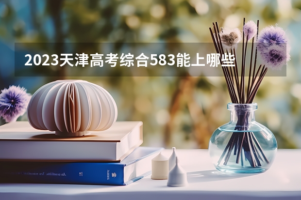 2023天津高考综合583能上哪些大学