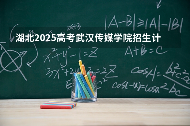 湖北2025高考武汉传媒学院招生计划如何