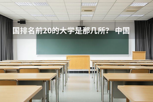 国排名前20的大学是那几所？ 中国大学排行榜的前四名