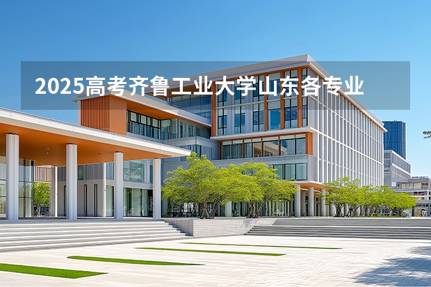 2025高考齐鲁工业大学山东各专业招生人数多少（2026参考）