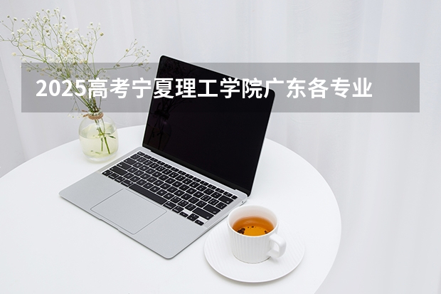 2025高考宁夏理工学院广东各专业招生人数多少（2026参考）