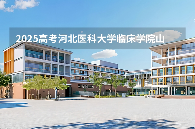 2025高考河北医科大学临床学院山东各专业招生人数多少（2026参考）