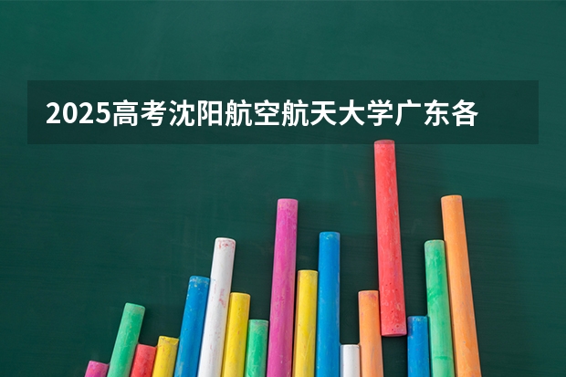 2025高考沈阳航空航天大学广东各专业招生人数多少（2026参考）
