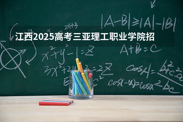 江西2025高考三亚理工职业学院招生计划如何（2026参考）