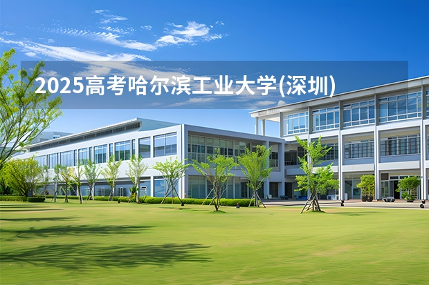 2025高考哈尔滨工业大学(深圳)广东各专业招生人数多少（2026参考）