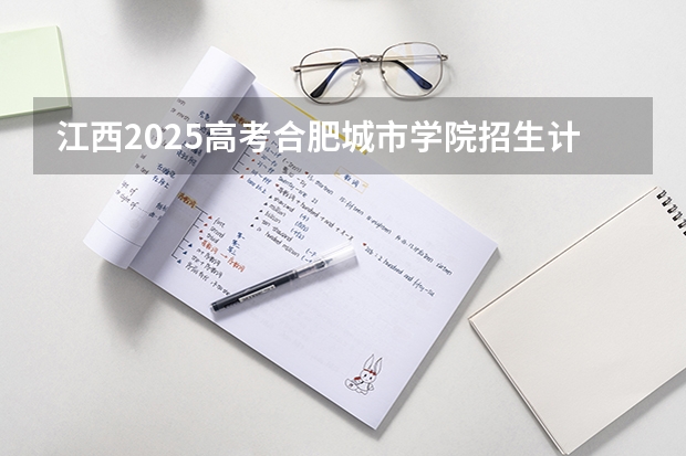 江西2025高考合肥城市学院招生计划如何（2026参考）