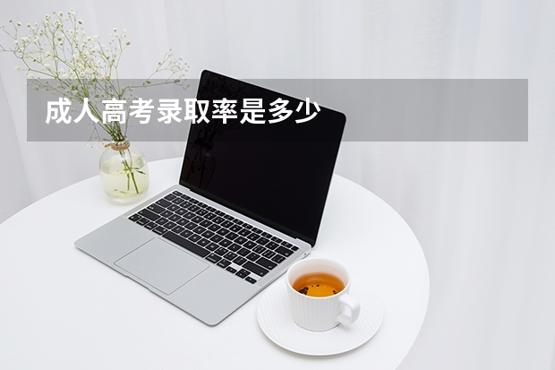 成人高考录取率是多少