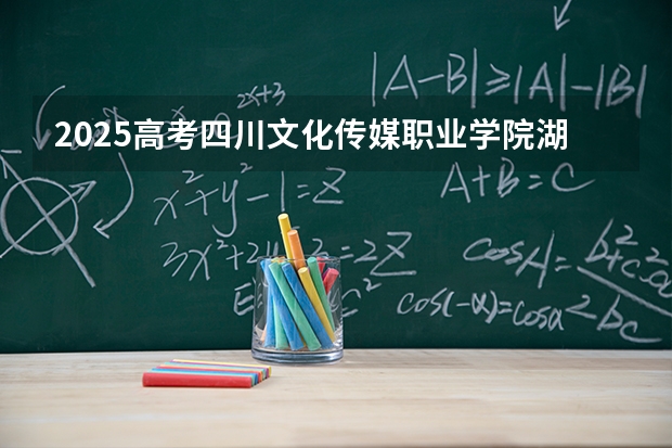 2025高考四川文化传媒职业学院湖南各专业招生人数多少（2026参考）