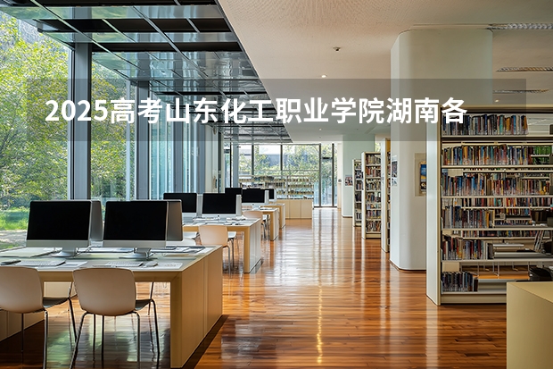 2025高考山东化工职业学院湖南各专业招生人数多少（2026参考）