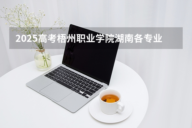 2025高考梧州职业学院湖南各专业招生人数多少（2026参考）