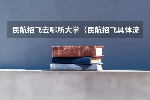 民航招飞去哪所大学（民航招飞具体流程是怎样啊？进入政审是不是以后难度就不大啦？朋友是应届大学本科生。请了解的高人指点啊）
