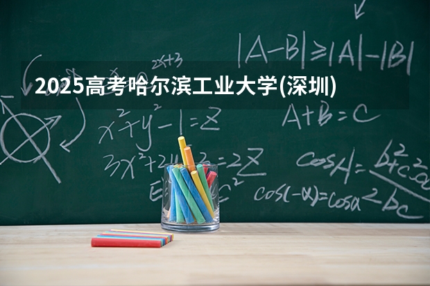2025高考哈尔滨工业大学(深圳)江苏各专业招生人数多少（2026参考）