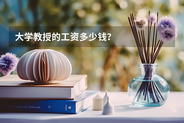 大学教授的工资多少钱？