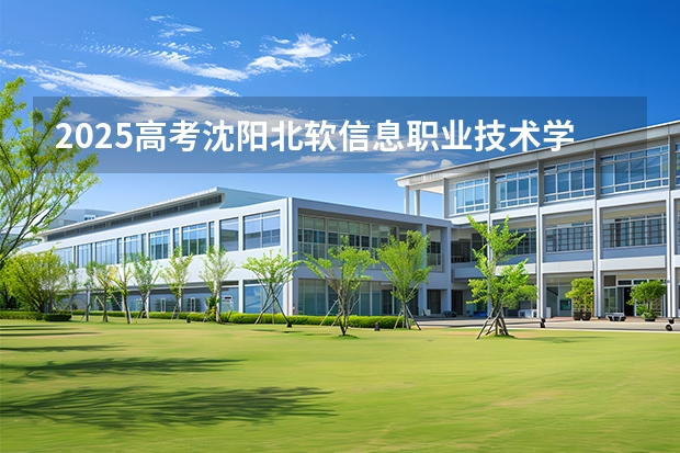 2025高考沈阳北软信息职业技术学院湖南各专业招生人数多少（2026参考）