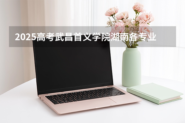 2025高考武昌首义学院湖南各专业招生人数多少（2026参考）