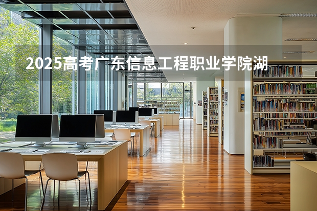 2025高考广东信息工程职业学院湖南各专业招生人数多少（2026参考）