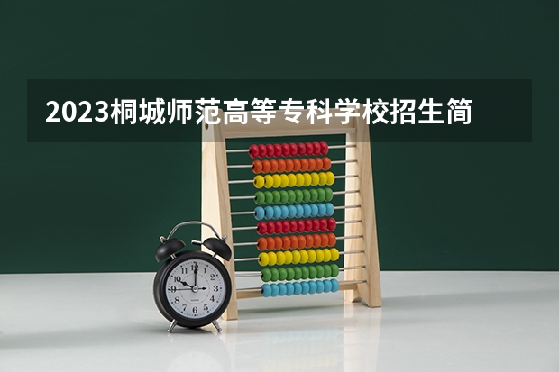 2023桐城师范高等专科学校招生简章 桐城师范高等专科学校招生代码